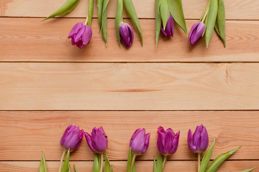 violet Spring Tulip Flowers on wooden table. Blooming spring petals. Beautiful lavender-blue violet Tulips in spring. Tulip flower with green leafs on wooden background. spring day for postcard