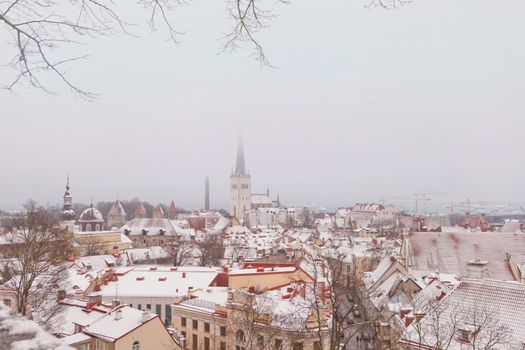 Oleviste Church View and Cathedral with Old Town towers in Tallinn, Estonia. Gothic Landmarks of Scandinavian city at winter time with fog and snow, UNESCO heritage.