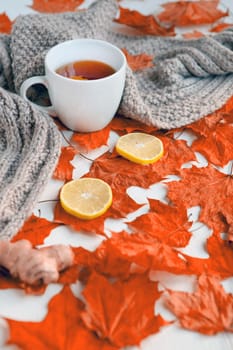 Autumn still life with white cup of tea, warming grey scarf and colorful red leaves with ginger and lemon. Selective focus, shallow.