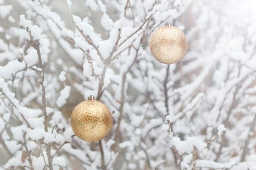 Closeup of Christmas ball on branch with snow. marry christmas and happy new year. golden balls on the snowed branches