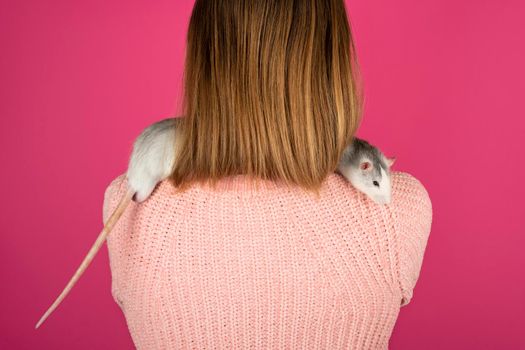 Two funny gray rats are sitting on the female shoulders. Pet care concept.