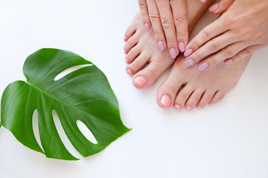 Healthy Legs with beautiful pedicure. Spa Skincare. woman legs and Hands isolated on white background with green monstera flower plant. Eco manicure and natural cosmetology concept