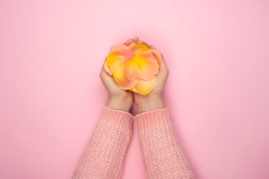 Pink and orange roses petals in female hands on pink background. Present or personal care concept. Trendy idea for Valentines Day, International Womens Day or mothers day. Top view