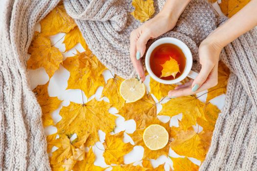 Floral autumn background. A mug of tea in a woman's hand with yellow falling leaves maple. autumn season. Flat lay fashion drink composition. woman hands holding a cup. lemons and grey scarf