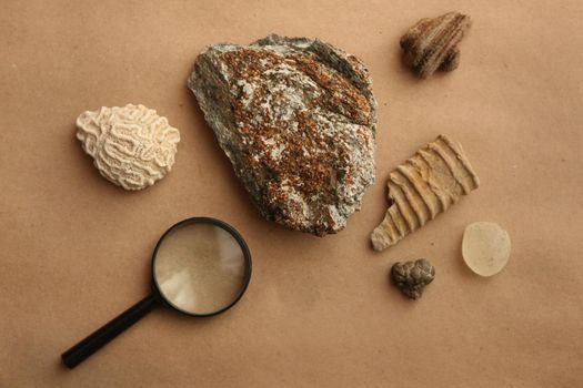 Stone samples and loop flat lay at geological laboratory. Geology rock laboratory. Laboratory for analysis of geological soil materials, stones, minerals, rocks samples for researchers and students.