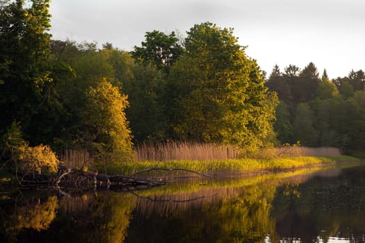 Estonian nature on river named Pirita. Evening orange sunset over river at summer time. Landscape with fallen tree and grass near the river.