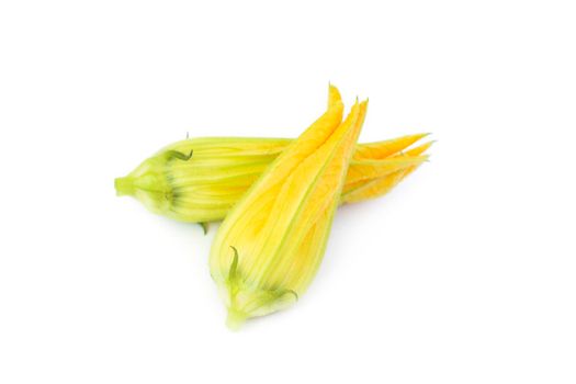 Yellow pumpkin and zucchini flowers isolated on white background. Top view. Edible squash flowers
