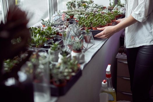 Caucasian female florist is taking care about her plants