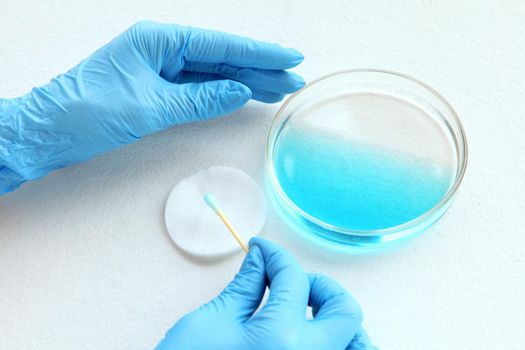 chemist at blue glowes at laboratory. testing with glass plate, blue liquid and sampler on his hands. Bacteria, viruses and health care concept