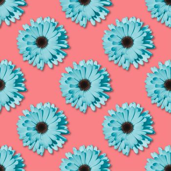 Blue Chamomile or gerbera seamless floral pattern. Summer flowers