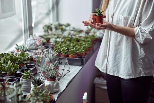 Caucasian female florist is taking care about her plants