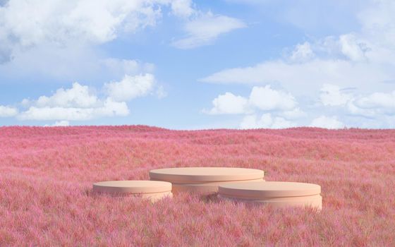 Empty stage with pink background, 3d rendering. Computer digital drawing.