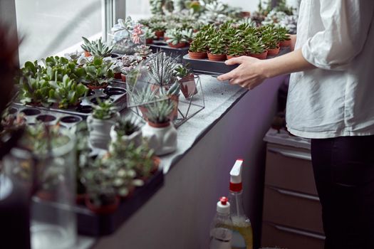 Confident female florist is working with dryed flowers in cozy flower shop