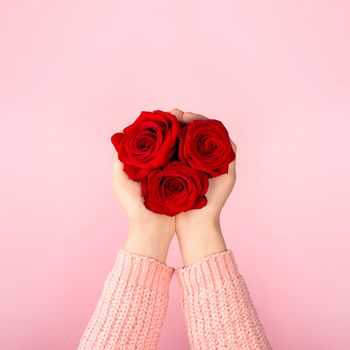 Three red roses forming a heart in female hands on pink background. Present or gift concept. Trendy idea for Valentines Day, International Womens Day or mothers day. Top view