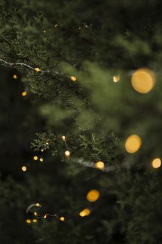 christmas decoration with beautiful tree lights