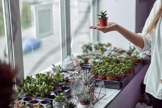 Caucasian female florist is taking care about her plants