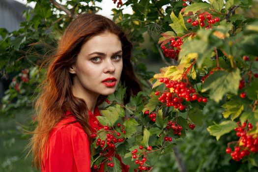 Woman in red shirt plants berries nature summer. High quality photo