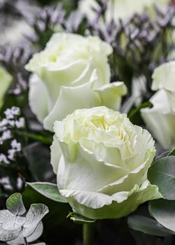 Bouquet of beautiful white roses. Perfect for greeting card background