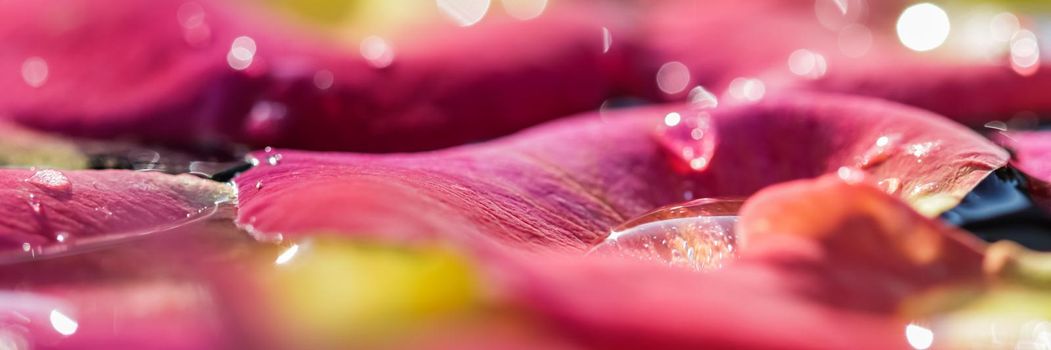 Red yellow rose petals with drops of water. Aromatherapy and spa concept. Blurred floral natural background