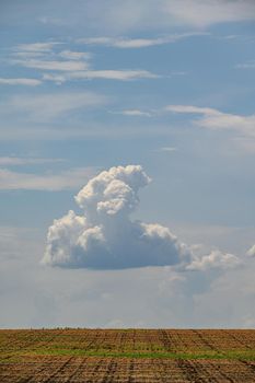 Single small cloud at blue sky above agricultural field, copyspace