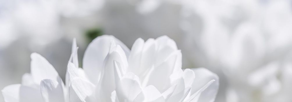 White terry jasmine flowers in the garden. Floral background