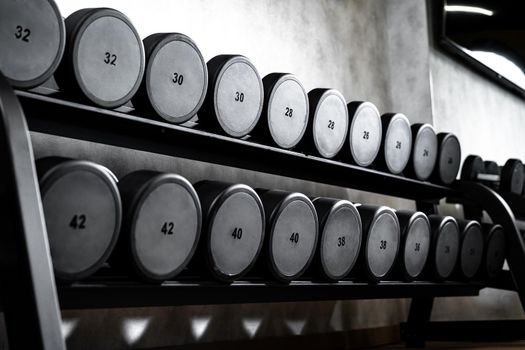 Rows of metal dumbbells on rack for bodybuilding in a gym