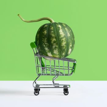 Watermelon in toy supermarket trolley. A watermelon filling a grocery store shopping cart isolated on white and green.