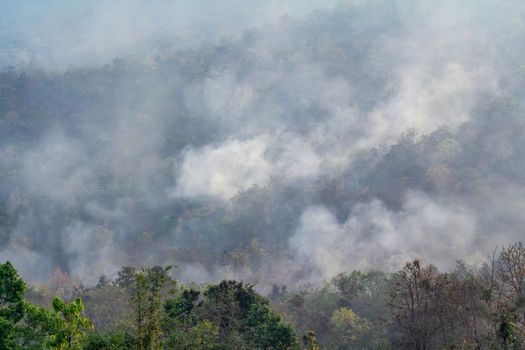 wildfire on mountain in thailand