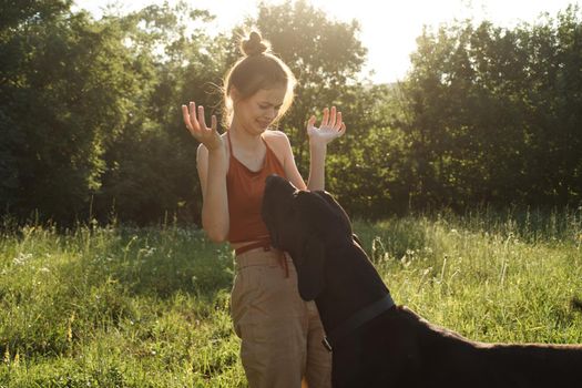 cheerful woman playing with a dog in a field in nature in summer. High quality photo