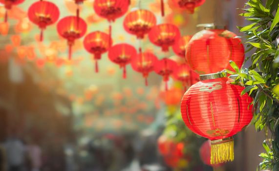 Chinese new year lanterns in chinatown