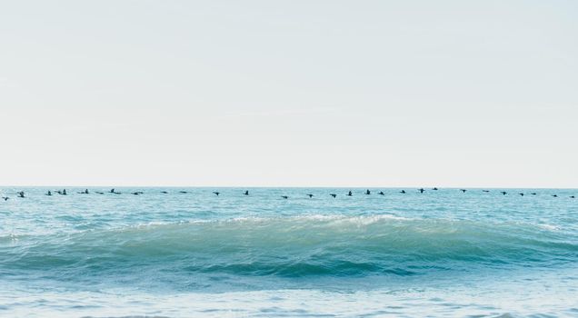 Long row flock of birds flying over the sea surface