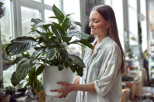 caucasian confident happy florist is working with composition made from glass stones and plants in botanic shop