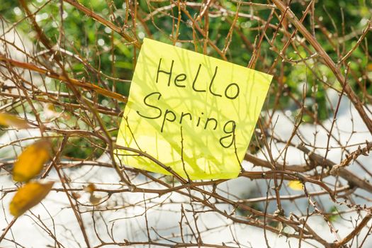 Hello spring - Melting snow on green grass close up - between winter and spring concept background