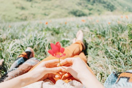 Young woman lying on meadow with red tulip, point of view.