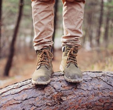 Hiker stands on tree trunk in forest, view of legs.