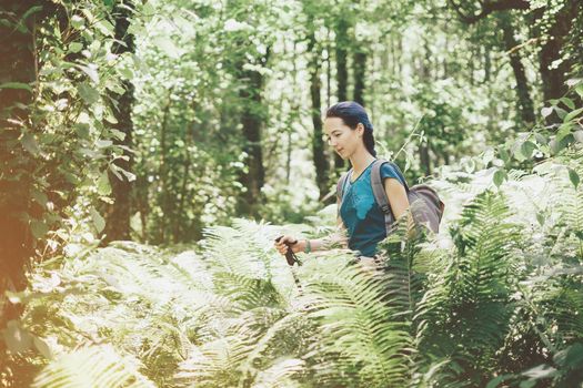 Hiker young woman with backpack and trekking poles walking among green fern bushes in summer forest.