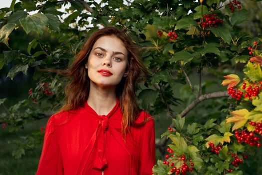 pretty woman in the summer outdoors near the bush. High quality photo