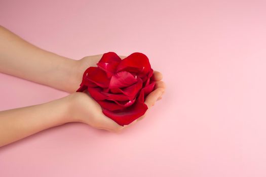 Red rose petals in beautiful female hands on pink background. Present or personal care concept. Trendy idea for Valentines Day, International Womens Day or mothers day. Top view, copy space