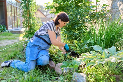 Springtime, spring gardening in backyard. Female in apron of gardening gloves with shovel planting flowering plants in ground from pot. Sunny day green plants, hobbies and leisure of middle aged woman
