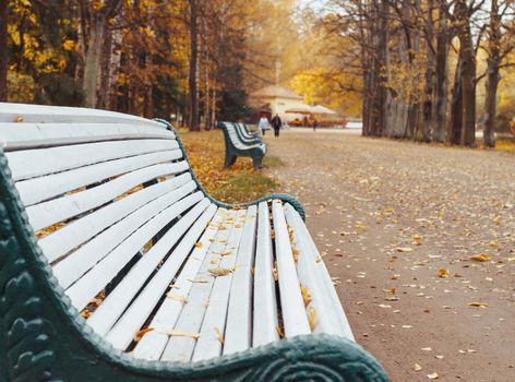 Wooden bench in autumn colorful park.