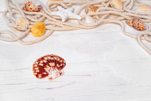 Sea shells with rope on white wooden background, copy space. Summer vacation concept