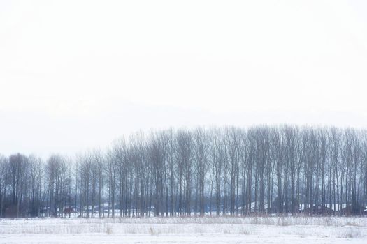 Beautiful winter landscape at sunset with fog and snow covering farmland and river in the Netherlands beautiful colors in nature winter