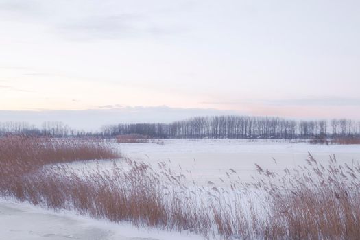 Beautiful winter landscape at sunset with fog and snow covering farmland and river in the Netherlands beautiful colors in nature winter