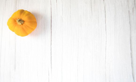 Orange pumkin on white wooden background texture top view with copy space, Halloween,October,Autumn and food concept space for text