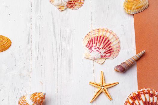 Close up photo of brown notepad with sea shells on wooden planks closeup, copy space