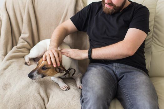 Attractive cheerful Caucasian male in casual t shirt sitting on couch favourite pet. Happy bearded man with his jack russell terrier. Pet's owner concept