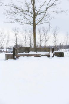 Park bench and trees covered by fresh snow in winter landscape, colorful nature closeup