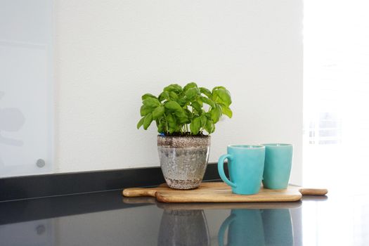 Modern kitchen interior with coffee cups and cutting board, clean white wall for copy space. Beautiful stylish decoration of cozy home close up