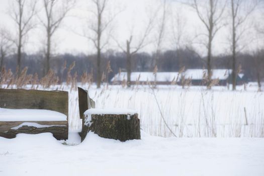 Park bench and trees covered by fresh snow in winter landscape, colorful nature closeup