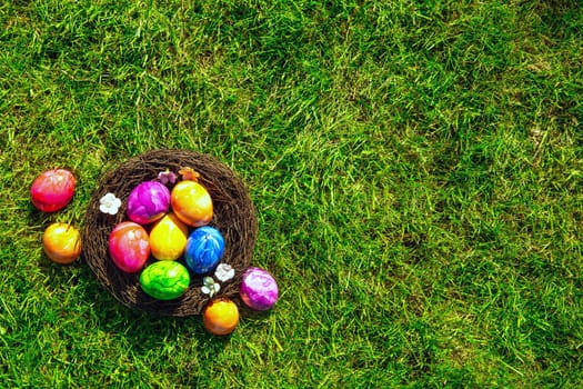 Colorful painted Easter eggs in nest on fresh green grass top view, Happy Easter Holliday concept background with copy space, spring and space for text